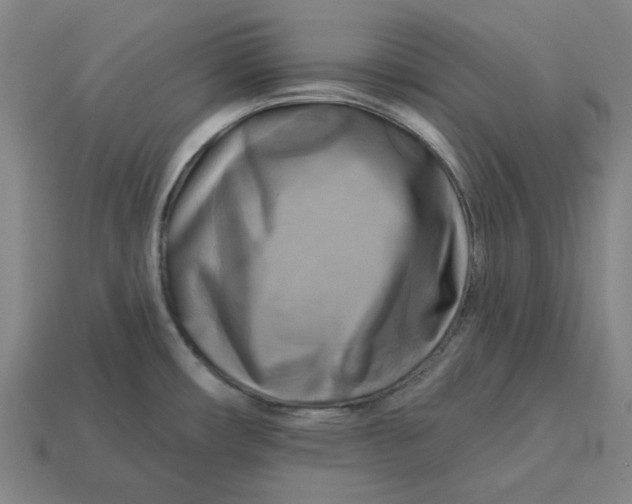 X0000113341482200910060947