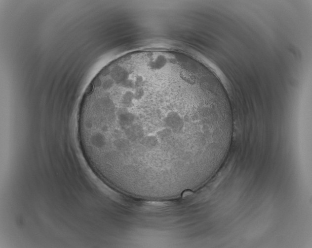 X0000113341483200910060947