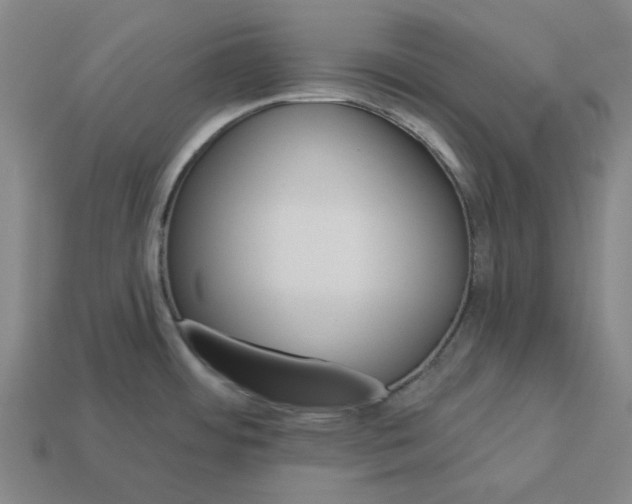 X0000113341484200910060947