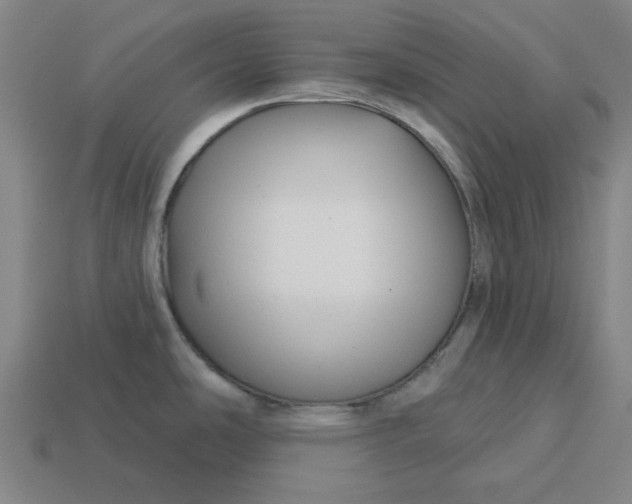 X0000113341486200910060947