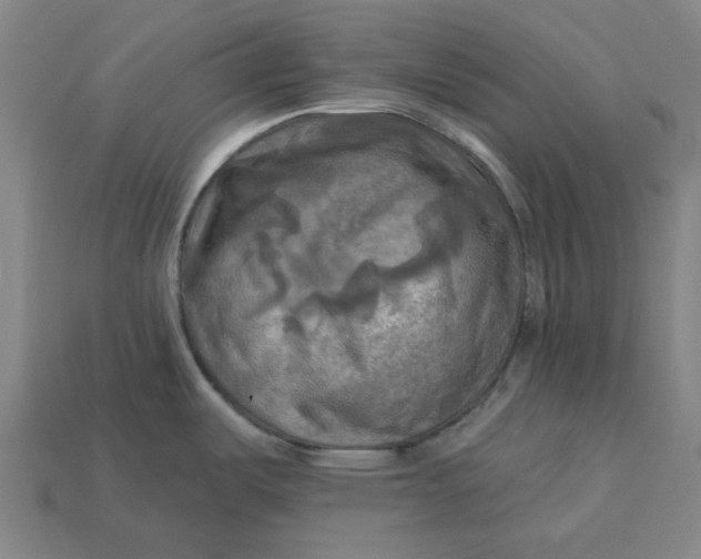 X0000113341487200910060947