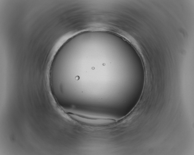 X0000113341488200910060947