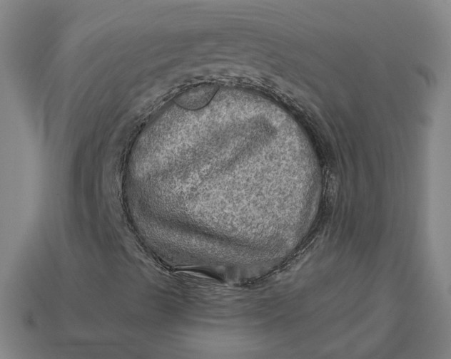 X0000113341489200910060947