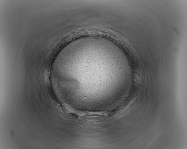 X0000113341490200910060947