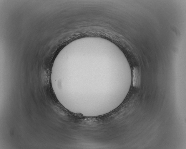 X0000113341491200910060947