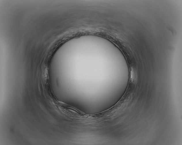 X0000113341492200910060947