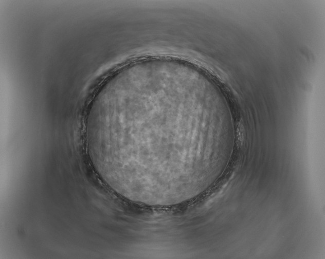 X0000113341494200910060947