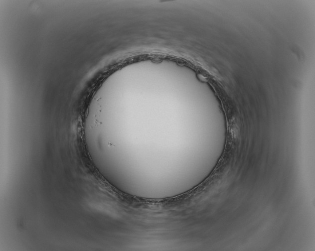 X0000113341495200910060947