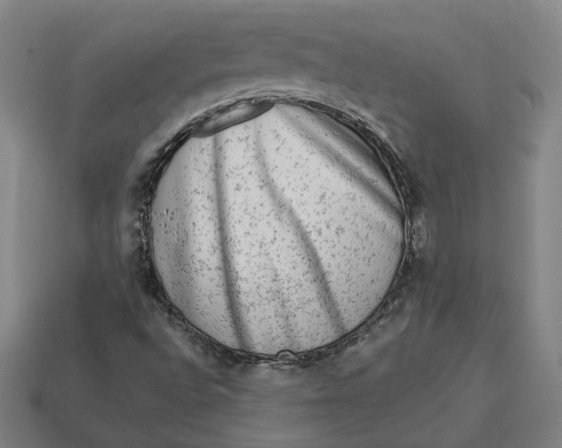 X0000113341496200910060947