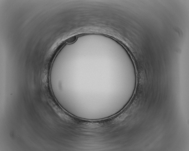 X0000113341499200910060947