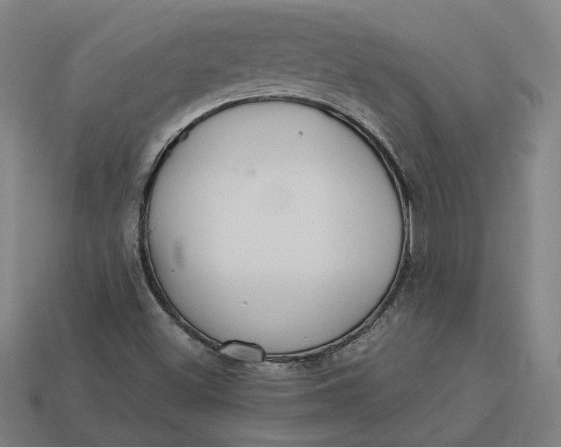 X0000113341500200910060947