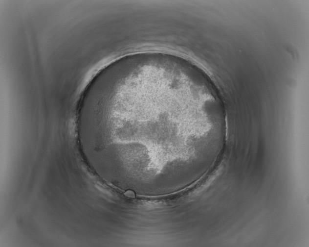 X0000113341501200910060947