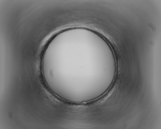 X0000113341502200910060947