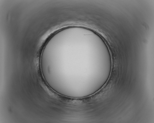 X0000113341503200910060947