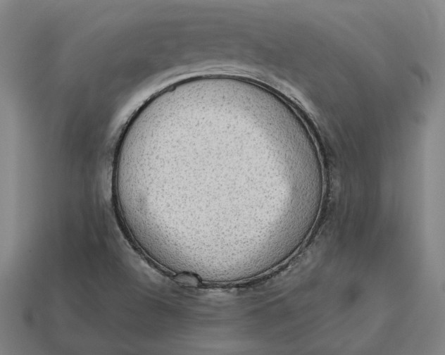 X0000113341504200910060947