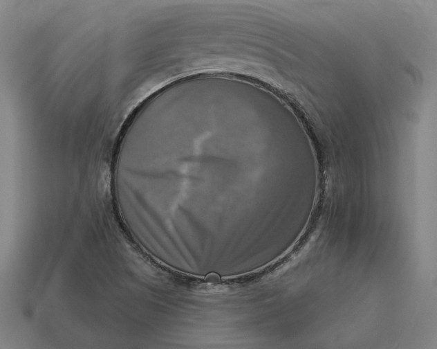 X0000113341505200910060947