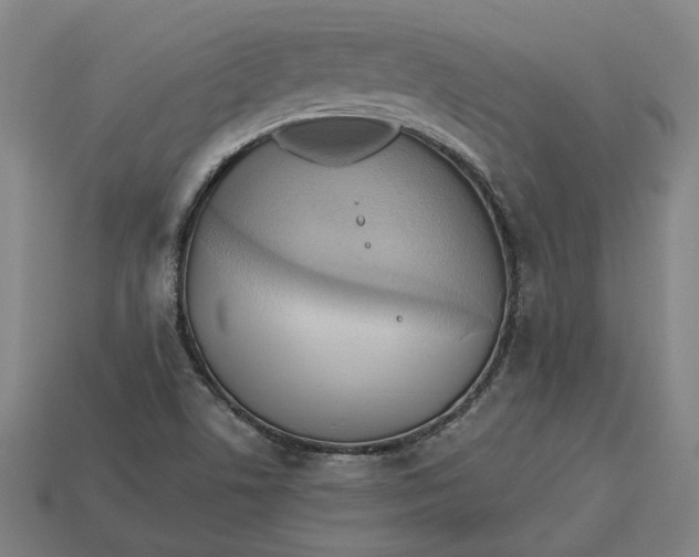 X0000113341506200910060947