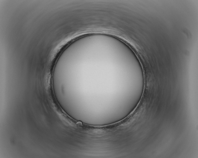 X0000113341507200910060947