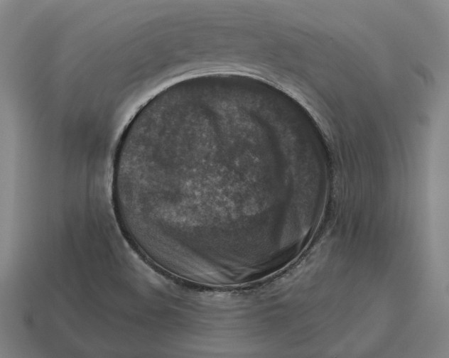 X0000113341508200910060947