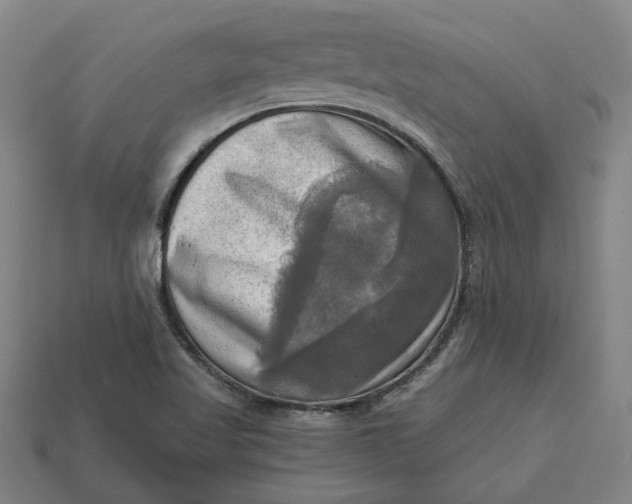 X0000113341509200910060947