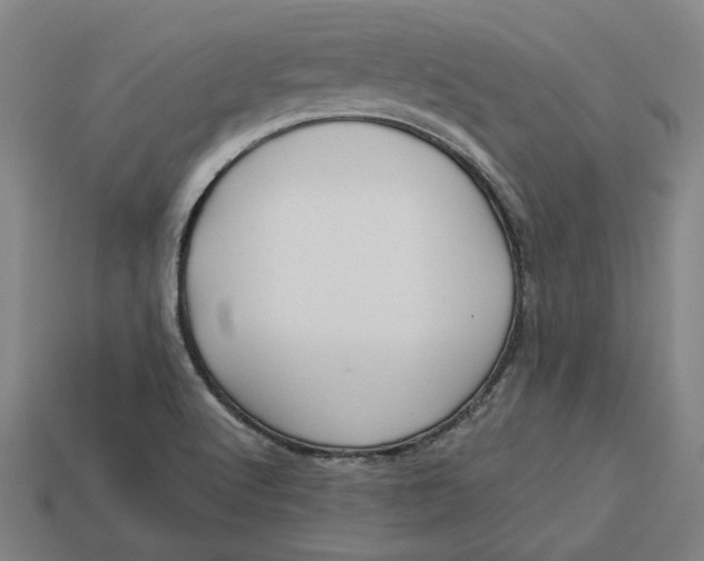 X0000113341512200910060947