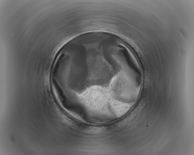 X0000113341513200910060947