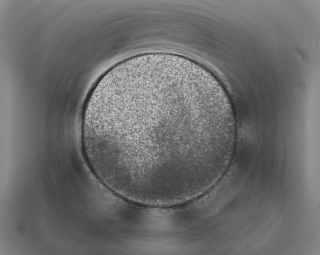 X0000113341514200910060947