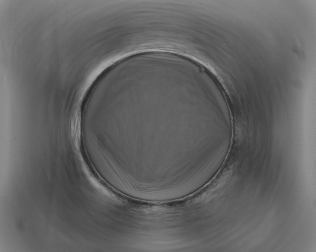 X0000113341515200910060947