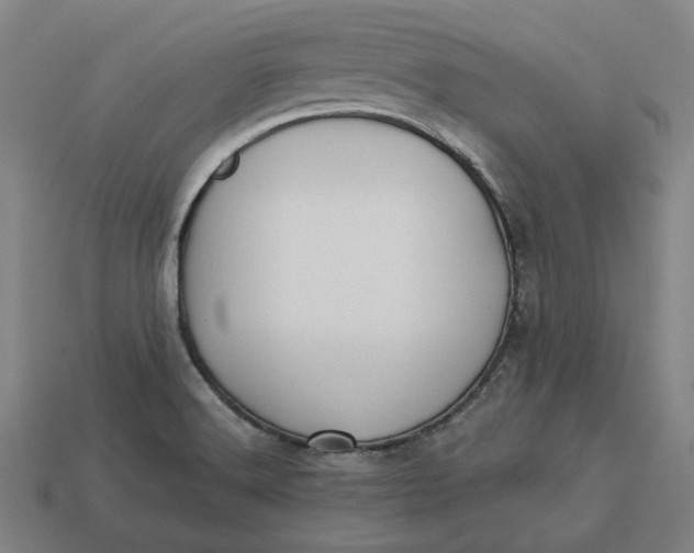 X0000113341516200910060947