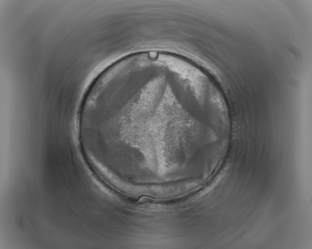 X0000113341517200910060947