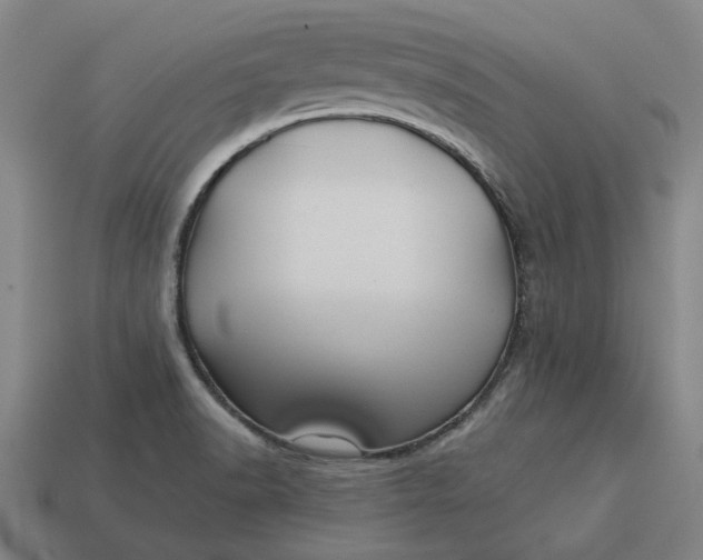 X0000113341518200910060947