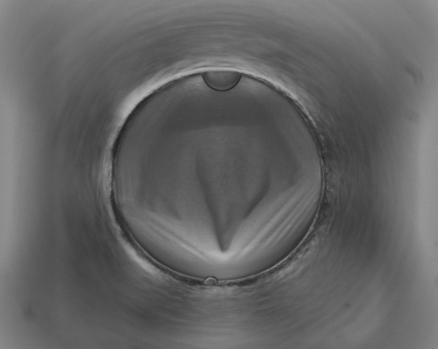 X0000113341519200910060947