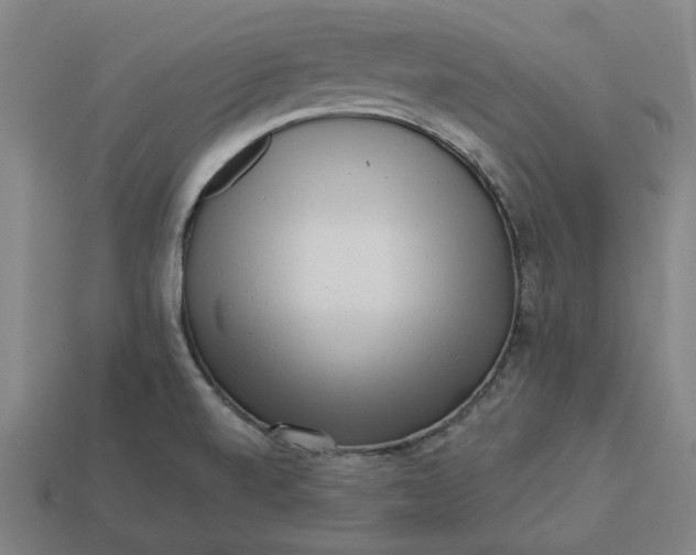 X0000113341520200910060947