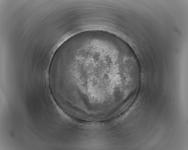 X0000113341521200910060947