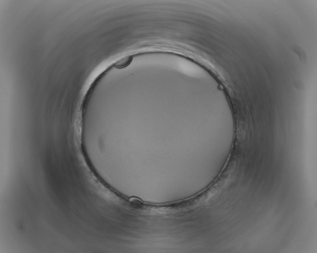 X0000113341522200910060947