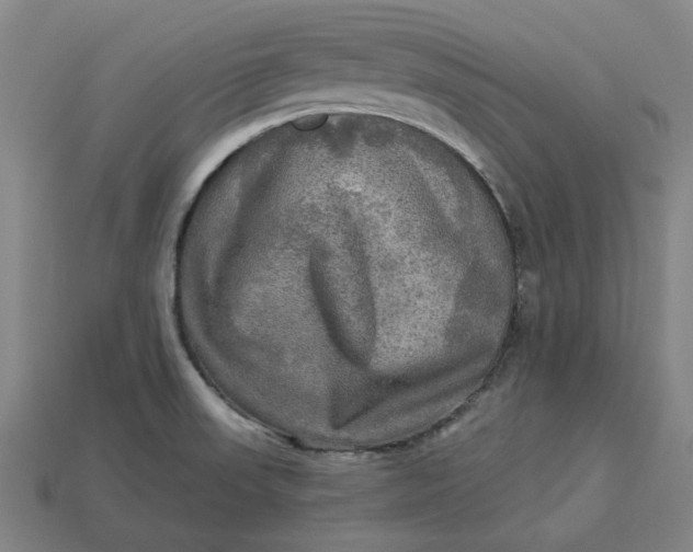 X0000113341523200910060947