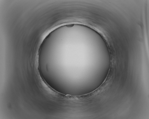 X0000113341524200910060947