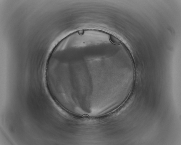 X0000113341525200910060947