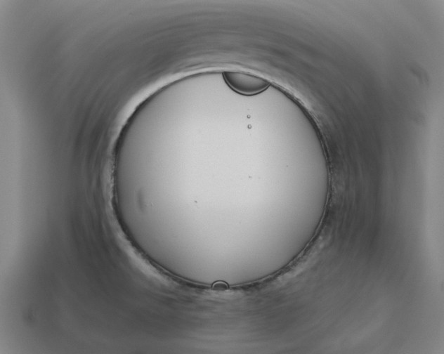 X0000113341526200910060947