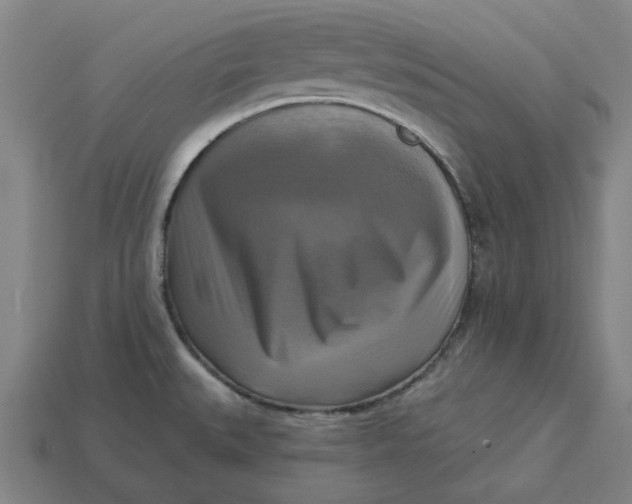 X0000113341527200910060947