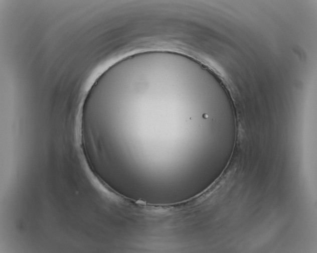 X0000113341528200910060947