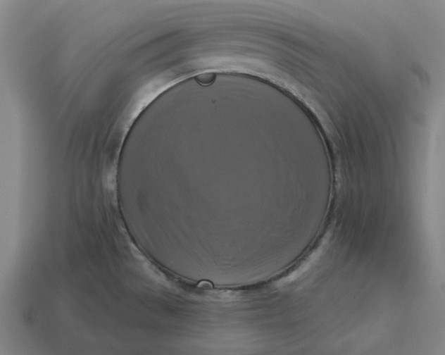 X0000113341529200910060947