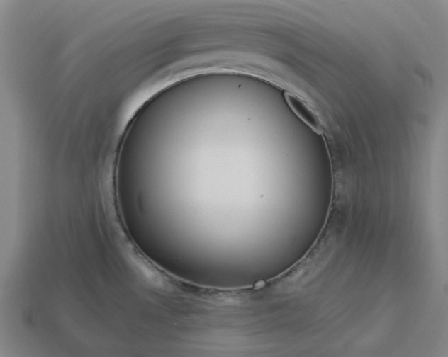 X0000113341530200910060947