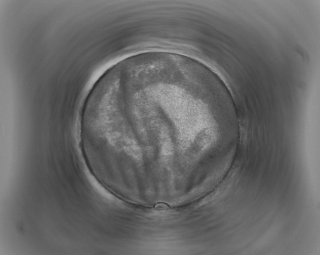 X0000113341531200910060947