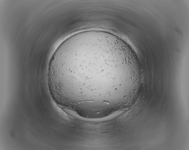 X0000113341532200910060947