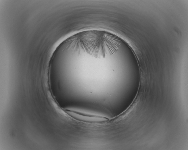 X0000113341534200910060947