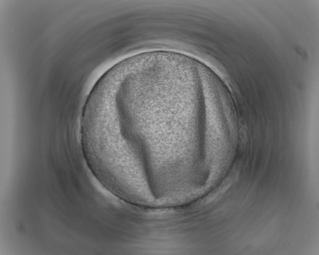 X0000113341535200910060947