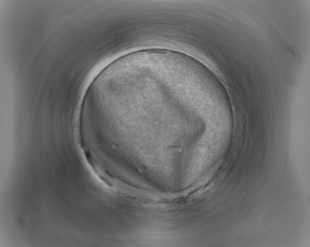 X0000113341536200910060947