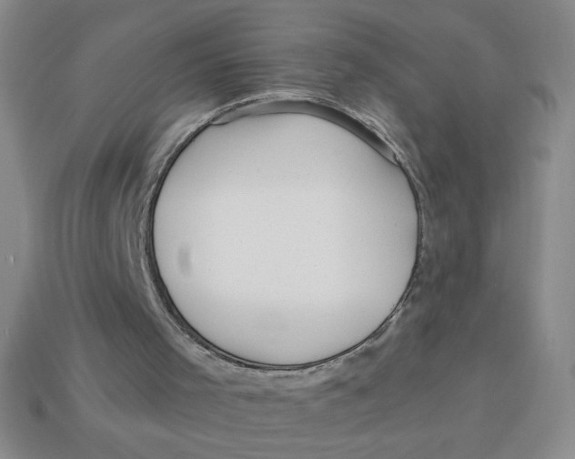 X0000113340001200910131228