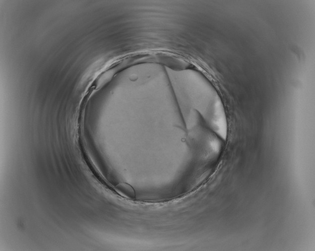 X0000113340002200910131228